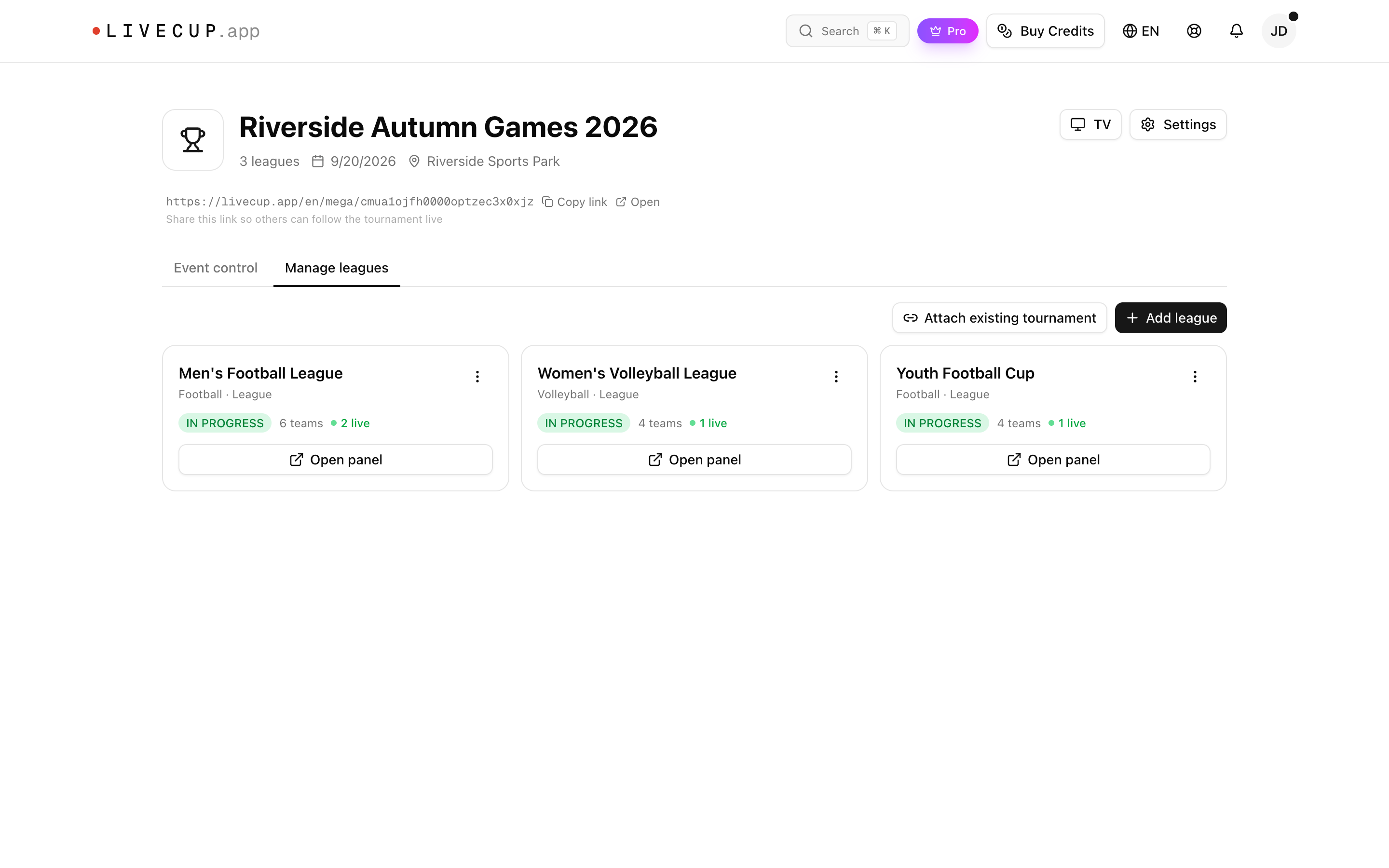 Manage leagues tab listing each league in the event with its own panel for schedule and team management