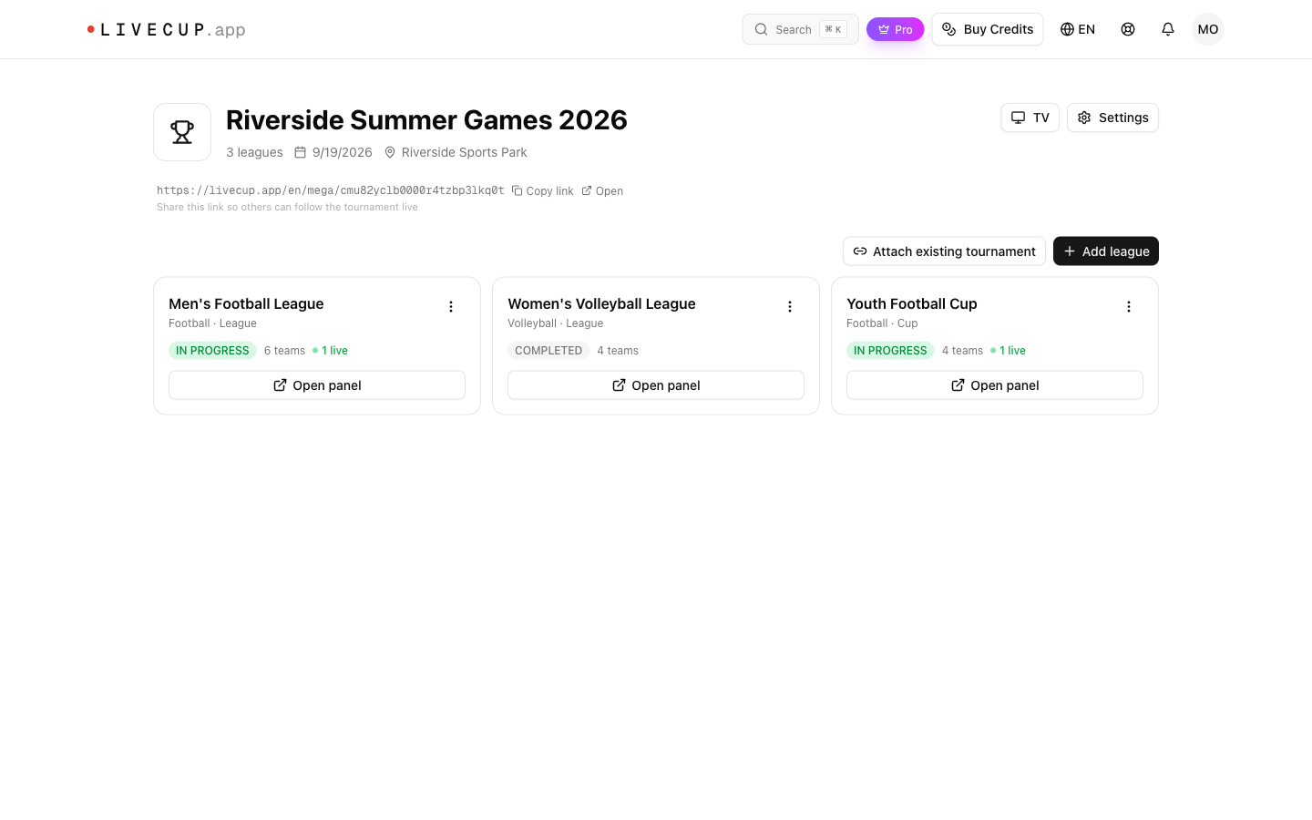 Organizer view of the event listing three leagues — a football league, a volleyball league and a youth cup — each with its own team count and live badge